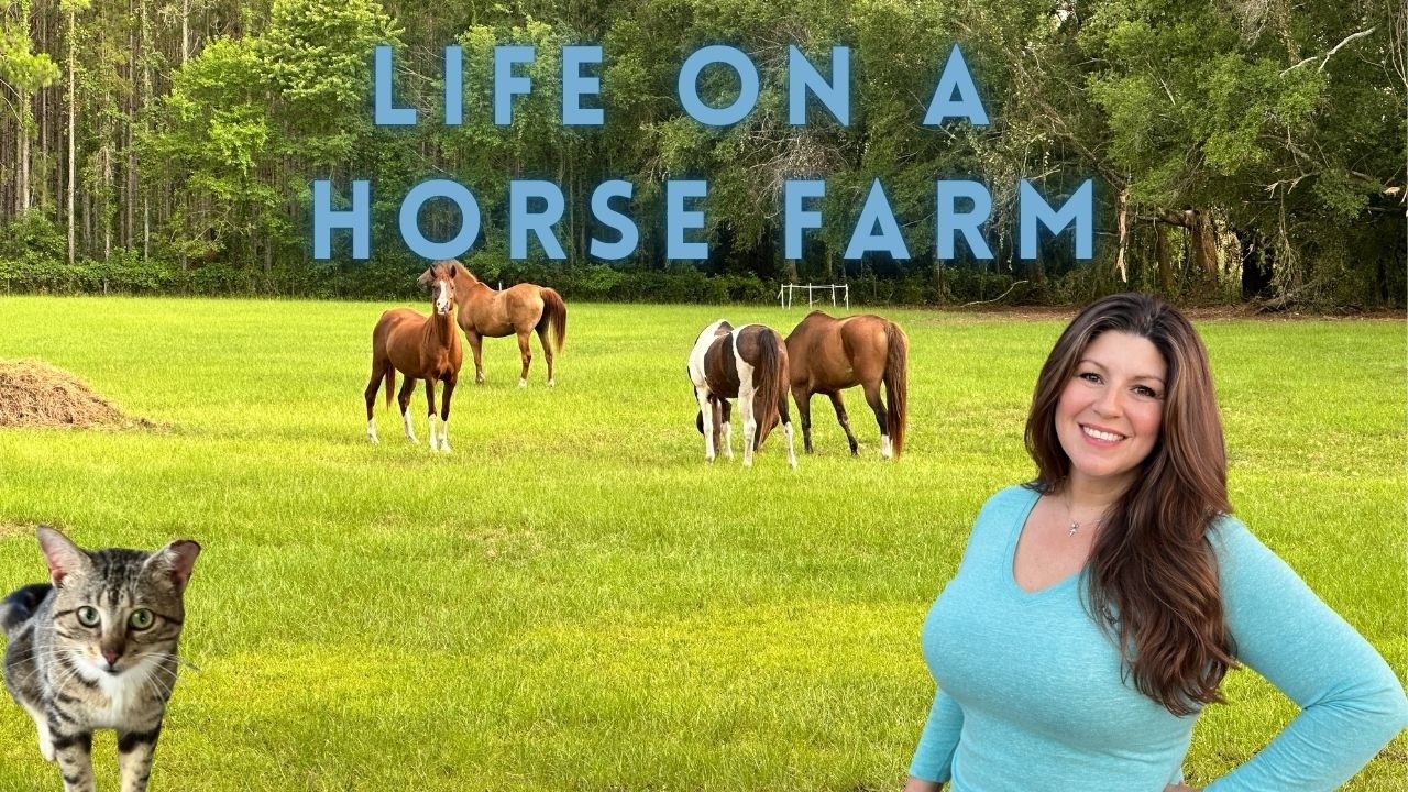 A Day at Our Farm | Real Horse Farm Living | Country Life | - YouTube