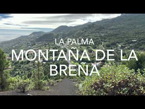 Montaña La Breña, La Palma (4K)