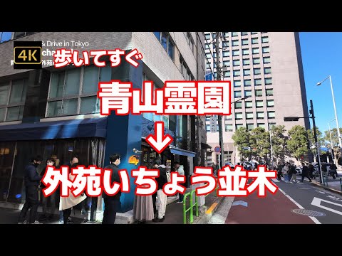 4K【青山霊園→外苑いちょう並木～歩いてすぐ】【赤坂消防署】【アンティカ・トラットリア シュリシュリ閉店】【行列の青山Indigo】【晴天の日に黄金色に輝くイチョウと多くの外国人観光客】 港区北青山