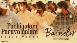 Video thumbnail of "Pachigalam Paravaigalam Lyric Video | Bachelor | G.V. Prakash Kumar |Sathish Selvakumar |G Dillibabu"