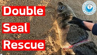 Double Seal Rescue