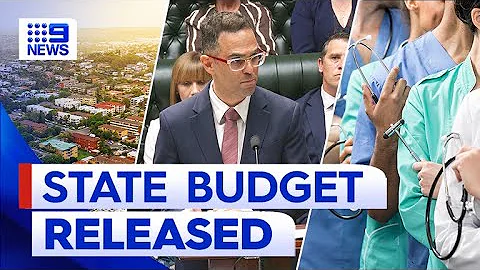 Winners and losers announced as Treasurer hands down 2023 NSW budget | 9 News Australia
