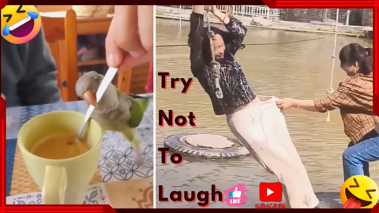 Best Funny Videos Compilation TRY NOT TO LAUGH videos 2024 😂😁😆 066 # ...