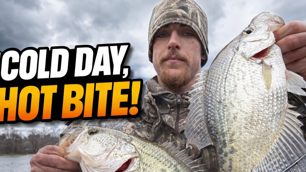 They Said It Was Too Cold… We Found the Fish!