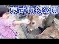 東武動物公園 の動画、YouTube動画。