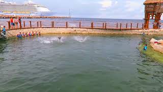Puerto Costa Maya (Mahahual Quintana Roo) Puerto Costa Maya (Mahahual Quintana Roo)