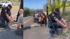 Deputies wrangle a gator, Big Boy coming to Fort Worth, State Fair of Texas plushie delivery thumbnail
