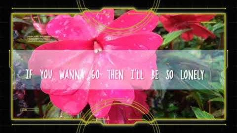 Lagu barat LET ME DOWN SLOWLY from Story Wa