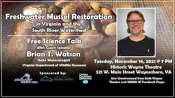 Freshwater Mussel Restoration in Virginia and the South River Watershed