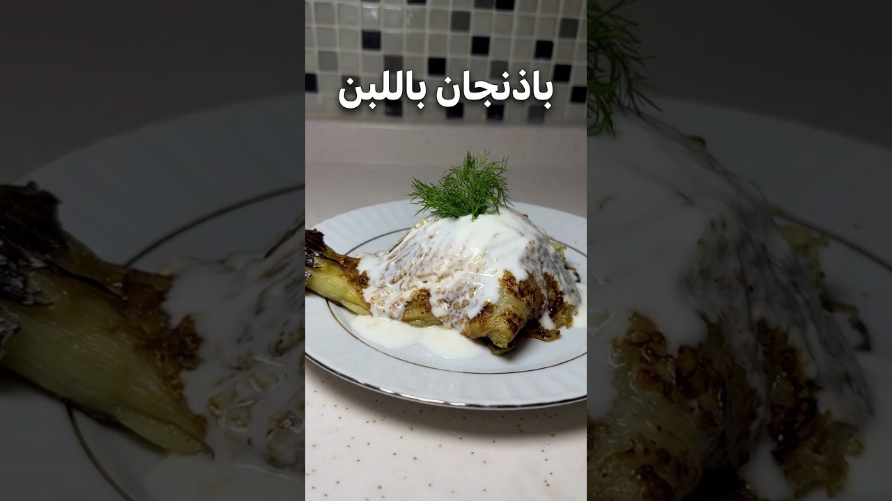 باذنجان باللبن #طبخ #وصفات #باذنجان #yemektarifleri #tarif #food #cooking #youtube باذنجان باللبن #طبخ #وصفات #باذنجان #yemektarifleri #tarif #food #cooking #youtube