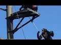 チンパンジーのけんか chimpanzee fight " Sakura vs Miru " 【多摩動物公園】