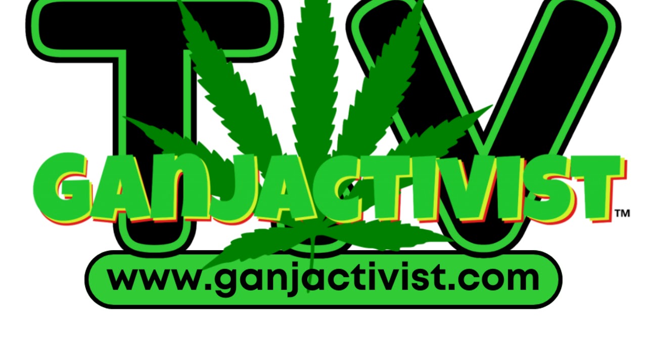 Ganjactivist TV Live Stream
