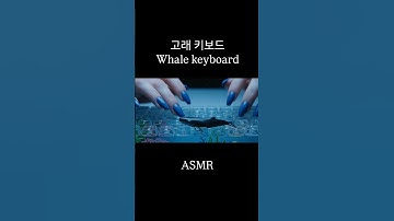 [ASMR]🐋 고래 키보드 Whale keyboard