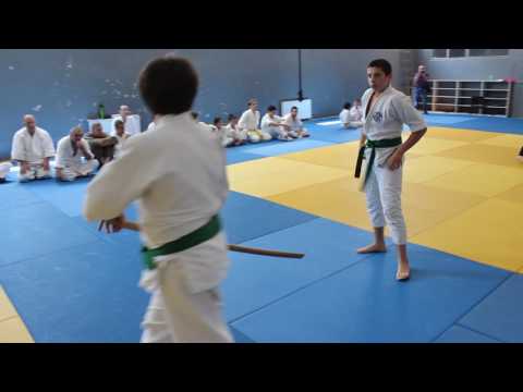 2017.06.25-AIKIDO-გამოცდა (Zura GavardaSvili, Mirian Gegenava, Irakli Baramidze)-7