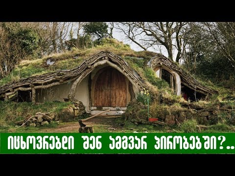 28 წლის მდიდარი ბიჭი ტყეში გაიქცა,ქოხი ააგო და 4 წელი იქ ცხოვრობდა,გაინტერესებთ მიზეზი?