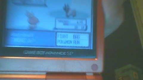 Shiny Poochyena - This time it