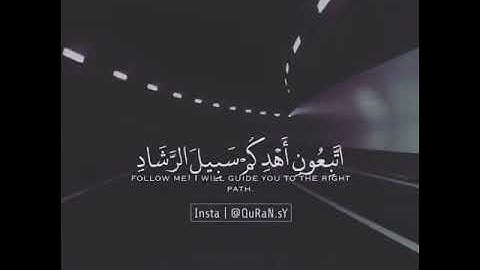 تلاوه جدا تريح الاعصاب وتهدا النفس|| حالات واتس اب دينية ♥️
