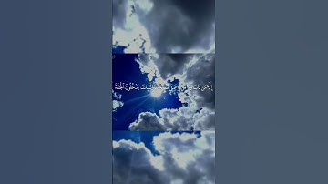 ما تيسر من سورة مريم #محمد_اللحيدان #قرآن #قران_كريم #المصحف