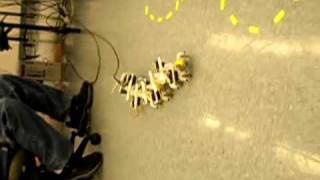 Olin College Robotic Snake - Serpentine Phase 3