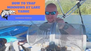 How To Trap Minnows For Bait At Lake Tahoe