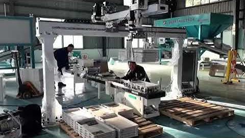 3-axis cantilever robot #gantry robot #palletizer