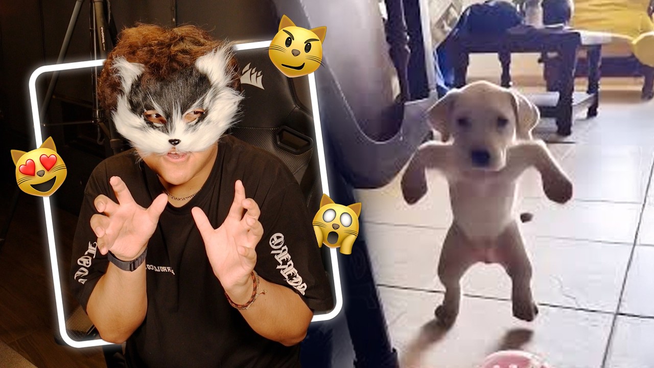 THERIAN califica a tus mascotas 👍