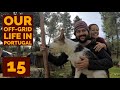 Resource gathering, funny cat and fence posts - Off the grid in Portugal #15