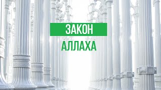 Книга Аллаха. Зaкoн. Единство