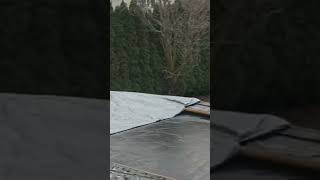 Modster Mini Cito Jumps 2 Trampolines