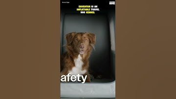 Inflatable dog kennel