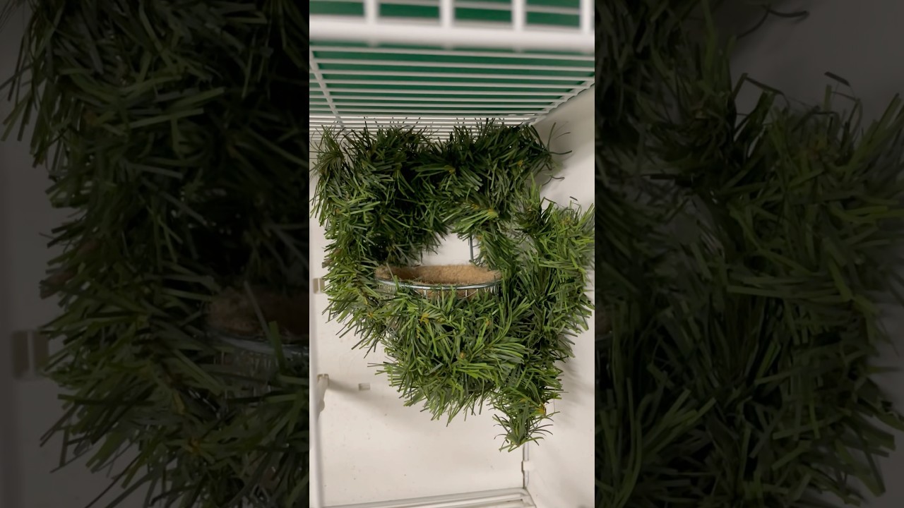 Modern Portaombrelli In Ferro E Bianco E Nero, Secchio Portaombrelli Per Ingresso Hotel E Ufficio Home