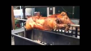 Pig Roast