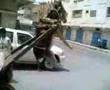 Yemen Donkey Hanging حمار معلق بلغلط
