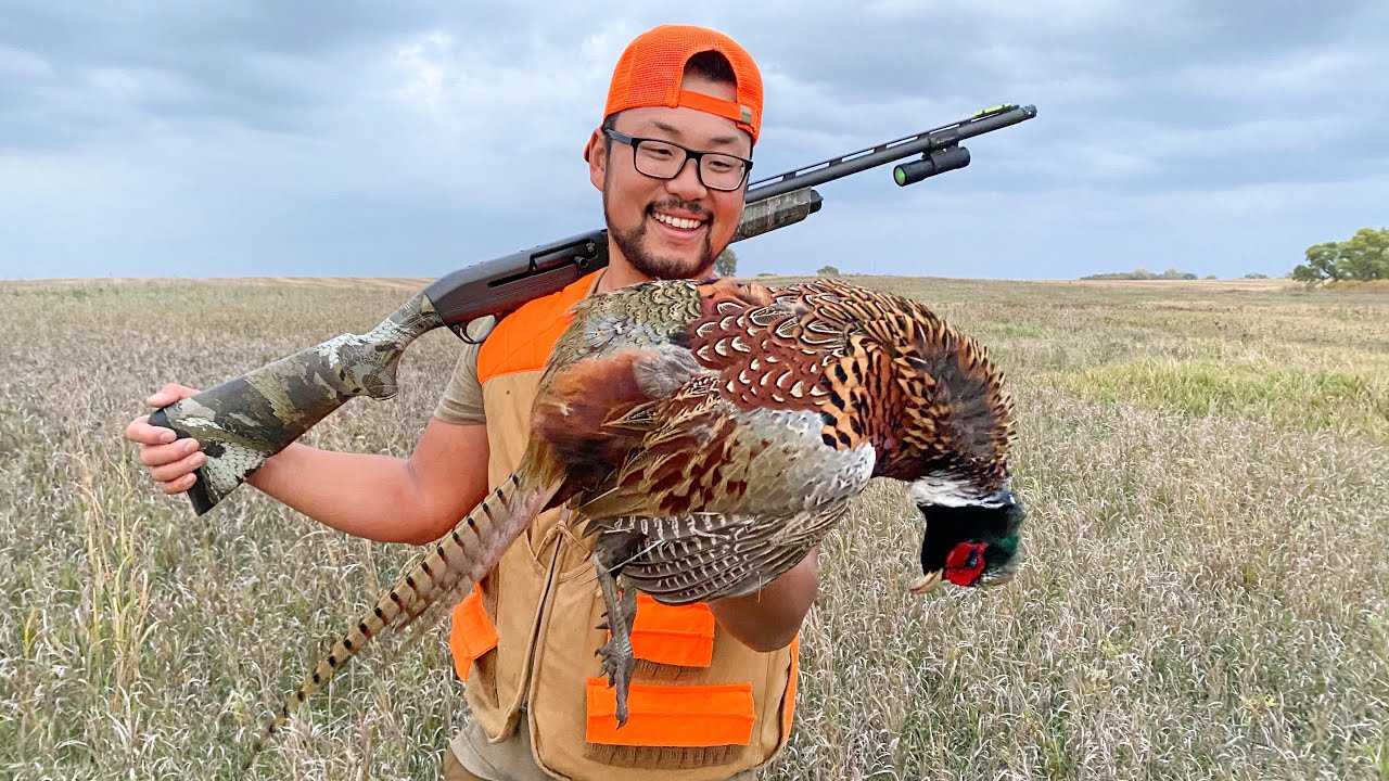 South Dakota Public Land Pheasant Opener 2021! (CATCH CLEAN COOK) YouTube
