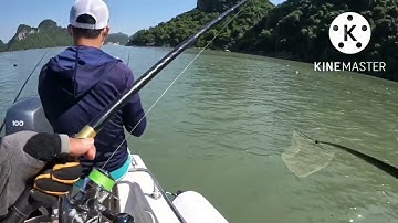 Iso Tráp Cát Bà, Hải Phòng đẹp quá Hải Phòng ơi