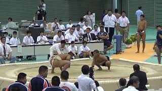 2016年IH 相撲 男子 個人 予選 2回戦 田中虎太郎(日田林工)vs 石田有輝(鳥取城北)