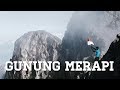 PENDAKIAN GUNUNG MERAPI VIA NEW SELO | VLOG #6