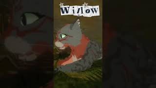 I had a different name back then... #warriorcats #wcue #arcane #lore #wcuefyp #fypシ #angst