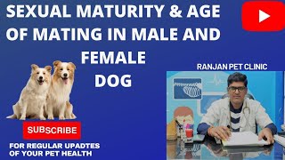 sexual maturity & age of Mating in male and female Dog