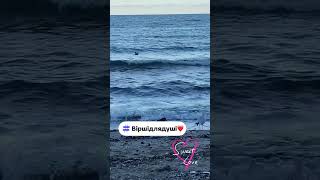 Вірші#stefani #віршідлядуші #віршукраїнською #любовь #кохання #море #rek