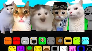 Pov Kucing Ramadhan Ketemu Sprunki | meme kucing lucu #pov #meme #kucing #cat #sprunki