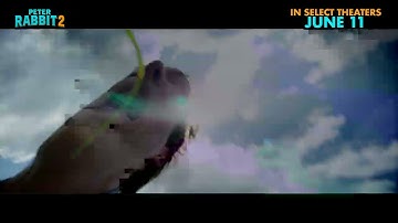 PETER RABBIT 2: THE RUNAWAY: "Celebrate in Theaters Kids"
