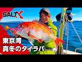 SALT X #56 東京湾 真冬のタイラバ