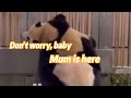 As the baby panda fubao becomes stuck mother panda aibao performs taken