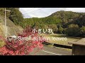 小さい秋 Small autumn leaves