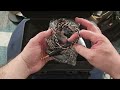 Beginning of video