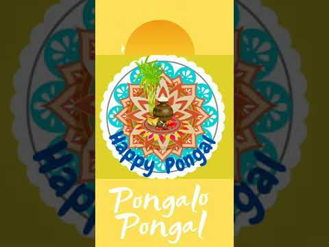 Happy Pongal 2022, Pongal Wishes, Happy Pongal Wishes 2022, Pongalo Pongal, Pongal Festival, #Shorts