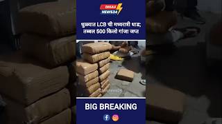 Dhule News; धुळ्यात LCB ची मध्यरात्री धाड; तब्बल 500 किलो गांजा जप्त