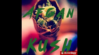 Afghan Kush Close Up AAA View--TheKushCrib-- #tkc #weed #strainview