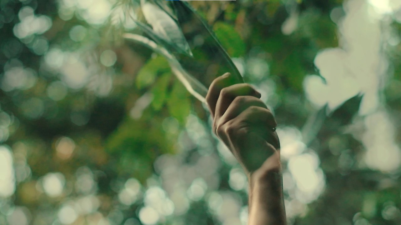 Foi na Beira do Mar | Terra Cabula  -  Visualizer